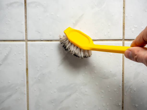 Best Black Mold Removal  in Marshallville, GA