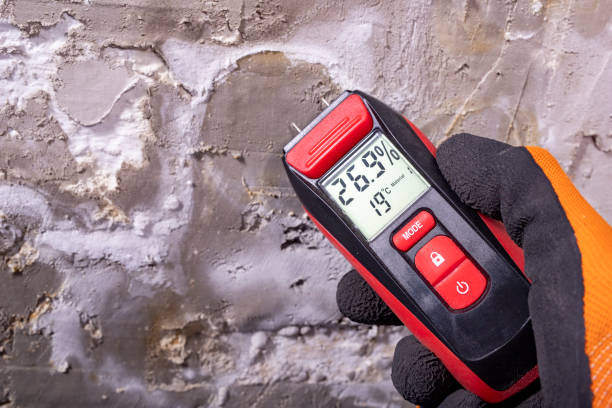 Best Same-Day Mold Removal  in Marshallville, GA