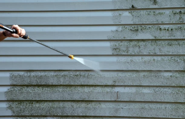 Best Commercial Mold Removal  in Marshallville, GA