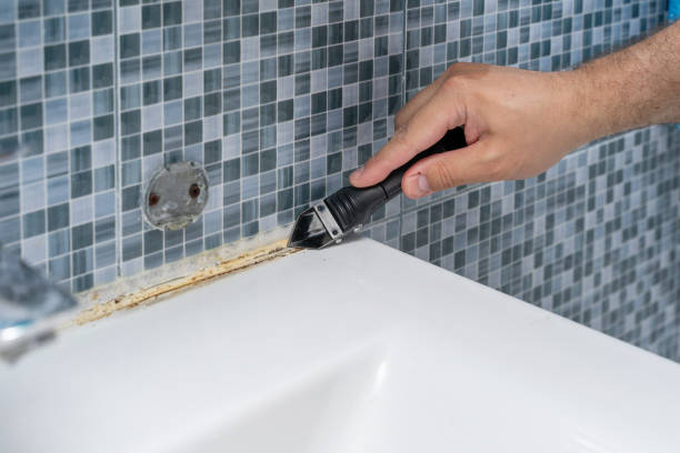 Best Black Mold Removal  in Marshallville, GA