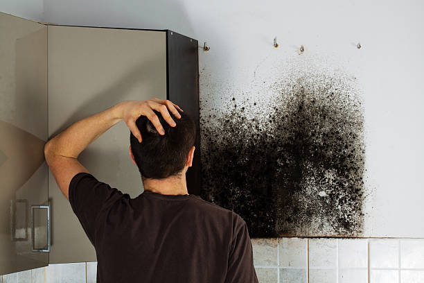 Best Mold Removal Near Me  in Marshallville, GA