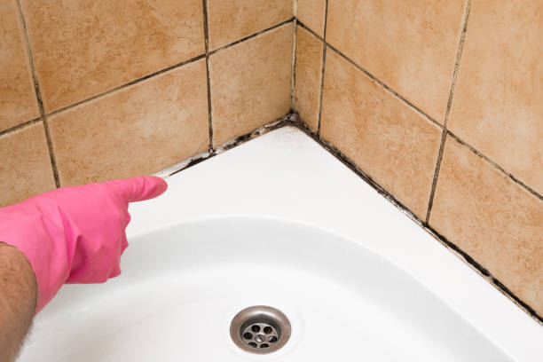 Best Crawl Space Mold Removal  in Marshallville, GA
